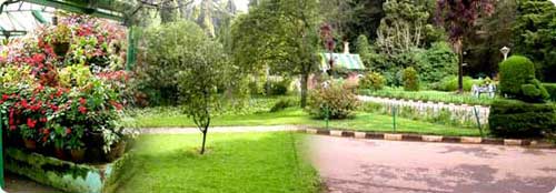 Ooty Garden